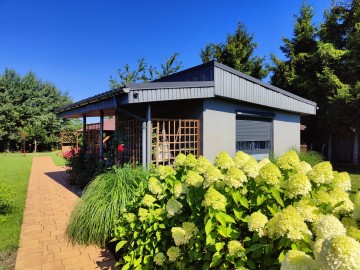 Sprzedam działkę ROD z pięknym ogrodem i domkiem po remoncie