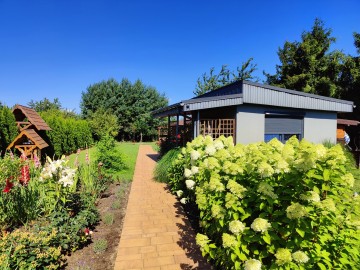 Sprzedam działkę ROD z pięknym ogrodem i domkiem po remoncie