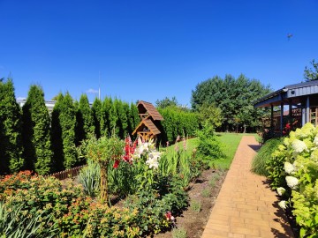 Sprzedam działkę ROD z pięknym ogrodem i domkiem po remoncie