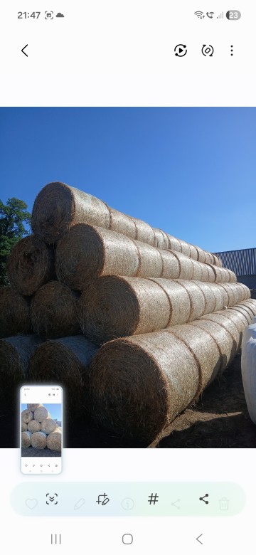 Sprzedam sianokiszonkę siano i słomę