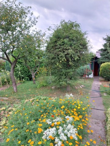 Sprzedam działkę ogrodową.