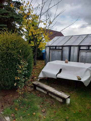 Sprzedam działkę ogrodową.