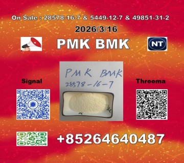 Experienced Supplier P.M.K Cas 28578-16 -7