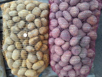Sprzedam ziemniaki kaliber sadzeniaka