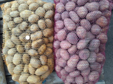 Sprzedam ziemniaki kaliber sadzeniaka