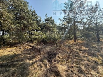 Działka na sprzedaż - Niezgoda, gm. Słupca