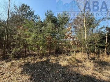 Działka na sprzedaż - Niezgoda, gm. Słupca