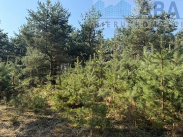 Działka na sprzedaż - Niezgoda, gm. Słupca