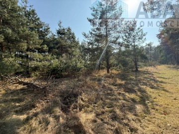 Działka na sprzedaż - Niezgoda, gm. Słupca