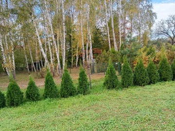 Sprzedam ogródki działkowe