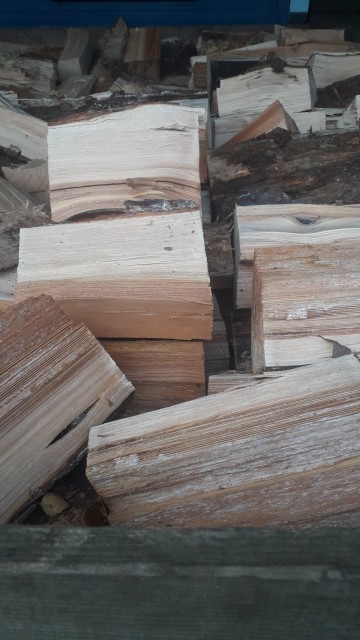 Sosna opałowa i drewno kominowe