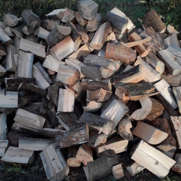 Sosna opałowa i drewno kominowe