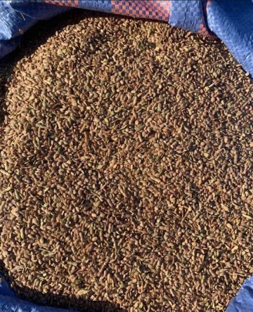 Sprzedam seradelę (saladerę )