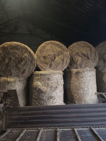 Siano, sianokiszonka