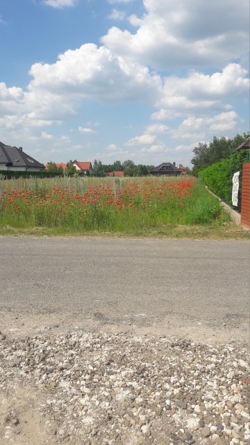 - Sprzedam działkę w miejscowości - Kraśnica // - CHORZEŃ