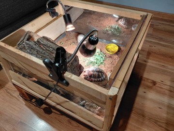 Sprzedam karme dla żółwia greckiego