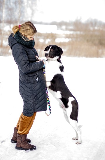 Apollo - wielki pies z wielkim sercem!