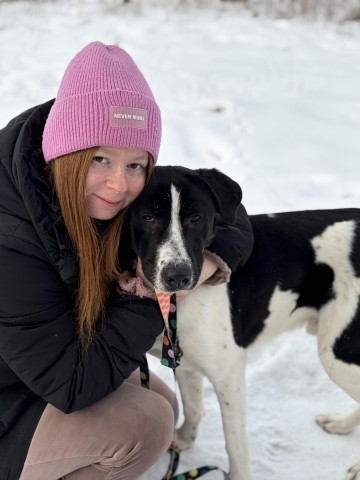 Apollo - wielki pies z wielkim sercem!