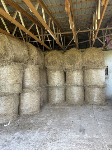 Sprzedam siano