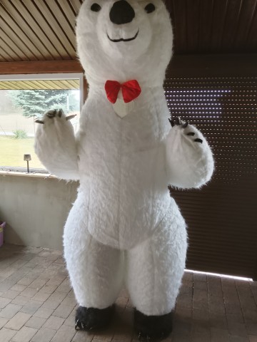 Wynajnmij maskotkę na imprezę