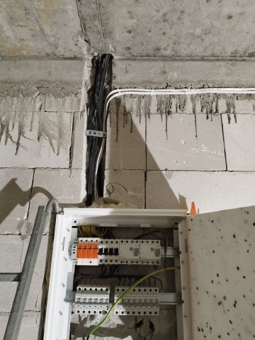 ELEKTRYK WOLNE TERMINY