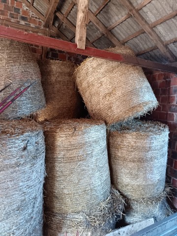 Słoma Pszenżytnia 2025 &ndash; Baloty Prasowane Pas&oacute;wką 1.2 x 1.3M