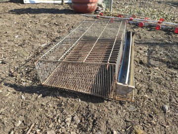 Klatka, klatki na przepiorki, dla przepi&oacute;rek