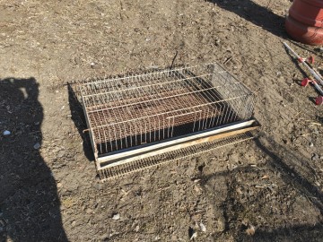 Klatka, klatki na przepiorki, dla przepi&oacute;rek