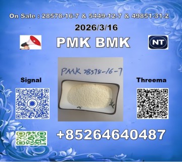 Best price P.MK 28578-16-7 1369021-80-6  B.MK 5449-12-7 BULK