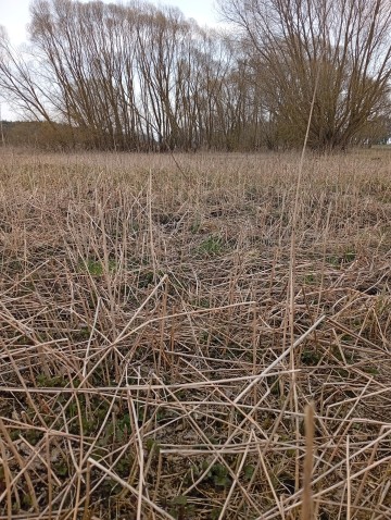 Działka rekreacyjna, w malowniczej okolicy blisko natury