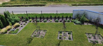 Wertykulacja, koszenie, nawożenie