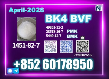 Newly upgraded BK4 1451-82-7 Professional Export Team