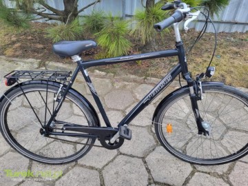 Sprzedam rower Pegasus Avanti