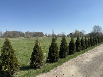 Działka 36ar w Główiewie z WZ!!