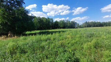 P&oacute;ł hektara ziemi na wsi z wydanymi WZ!