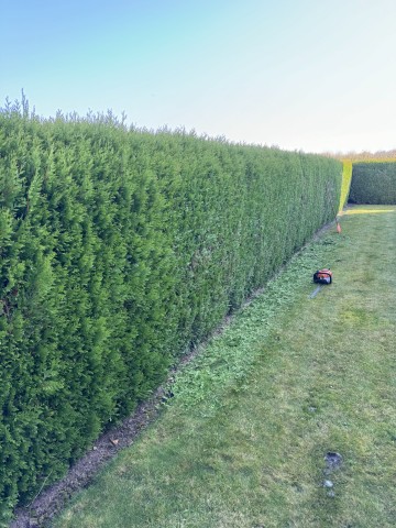 Pomoc w ogrodzie wykonam