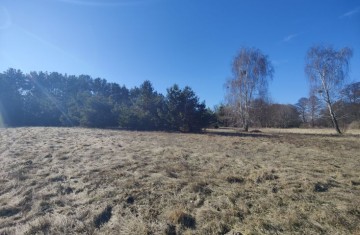Na sprzedaż duża działka w sąsiedztwie lasu i łąk