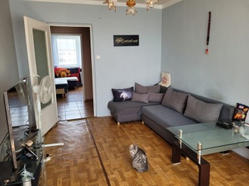 Koło ul. Sienkiewicza 47