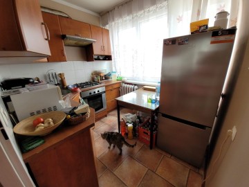 Koło ul. Sienkiewicza 47