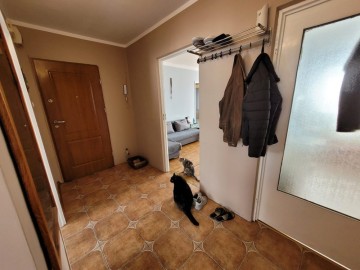 Koło ul. Sienkiewicza 47