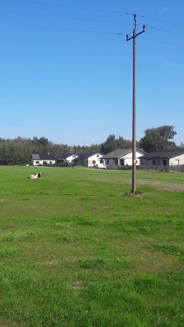 = Sprzedam działkę budowl . w = TOMASZEW = gm. St. Miasto