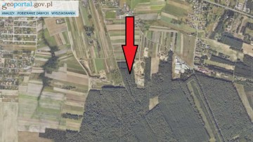 Sprzedam Las Brzeźno gm. Krzymów