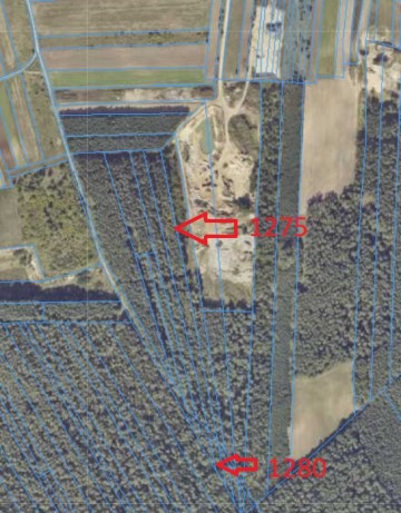 Sprzedam Las Brzeźno gm. Krzymów