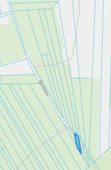 Sprzedam Las Brzeźno gm. Krzymów