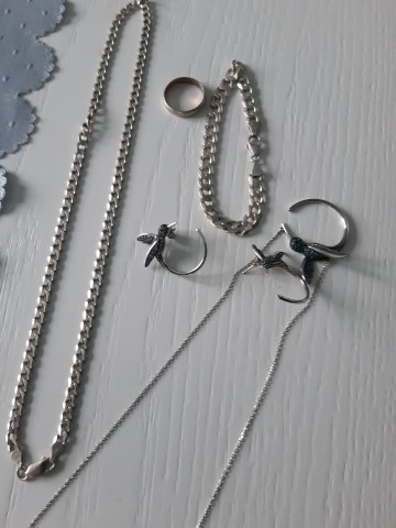 Łańcuszek kolczyki koliberki kruk