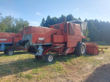 Sprzedam bizona z056