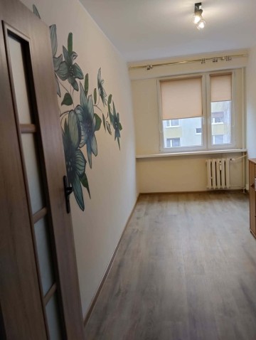 Mieszkanie na wynajem 3 pokoje