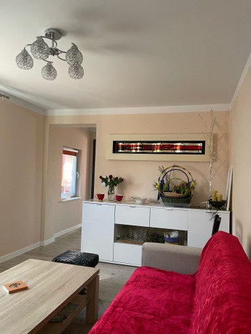 nieruchomość w Turku z 2 budynkami 40 i 100 metr&oacute;w