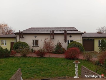 Wynajmę - Wylęgarnia Drobiu-pisklęta : gęsi, kaczki lub inne