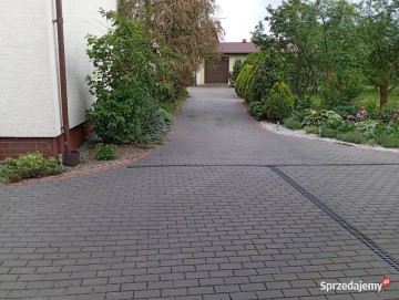 Wynajmę - Wylęgarnia Drobiu-pisklęta : gęsi, kaczki lub inne